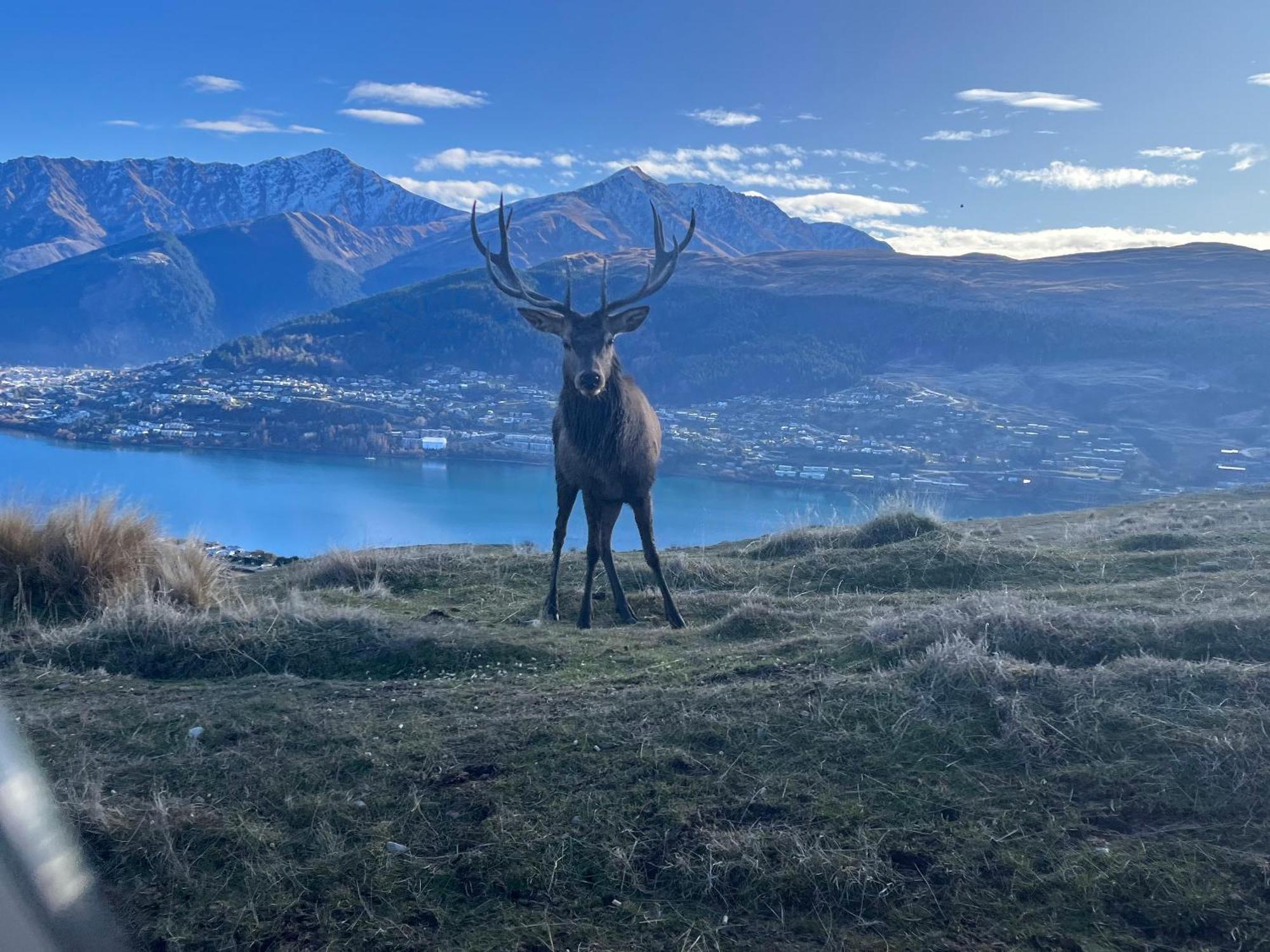 Appartamento East Rock Distretto di Distretto di Queenstown Esterno foto